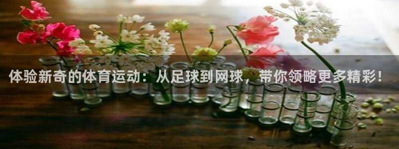 oety欧亿体育官网下载平台假的吗是真的吗吗：体验新奇的体育