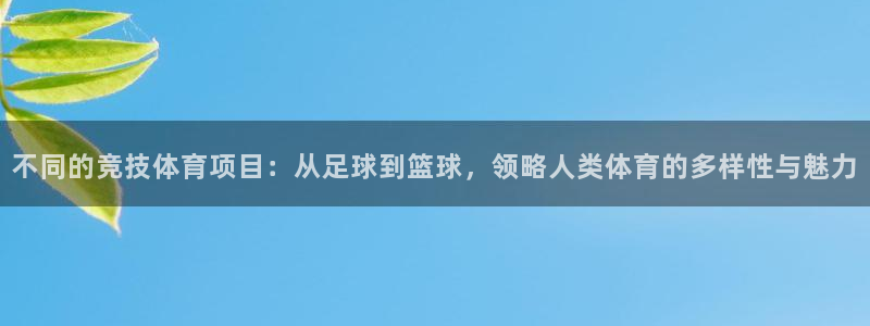 欧亿体育官方正版app集团E.ON：不同的竞技体育项目：从足
