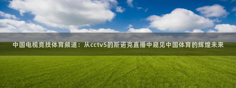 火凤直播体育免费直播