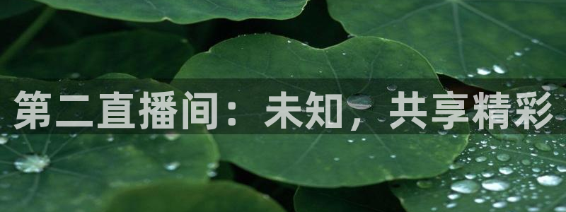 火凤直播体育官网