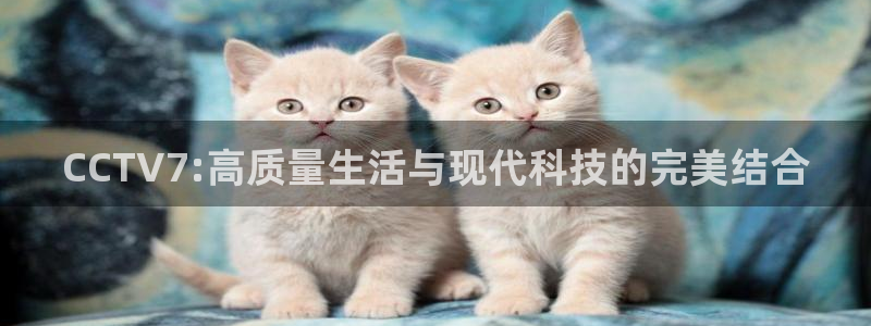 火凤免费观看体育直播