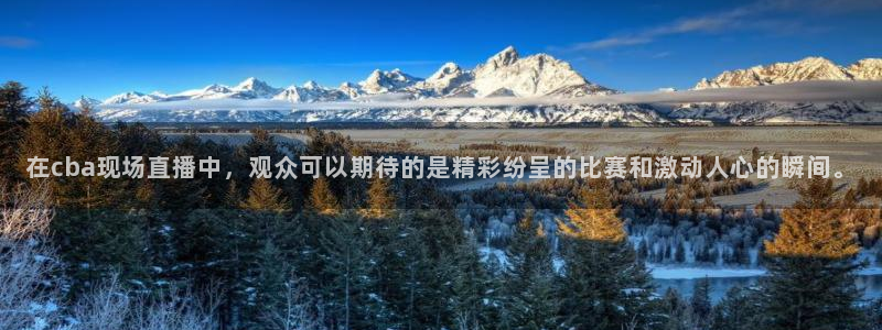 火凤足球比赛直播