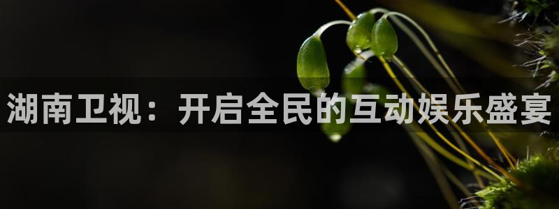 火凤直播足球免费观看