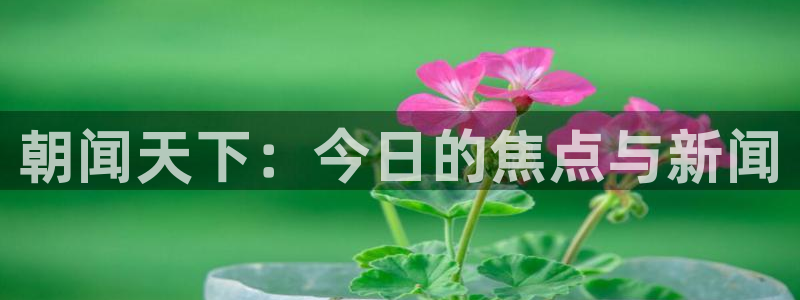 火凤足球直播免费观看：朝闻天下：今日的焦点与新闻