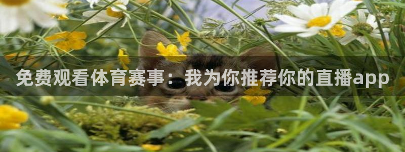 火凤直播五大联赛：免费观看体育赛事：我为你推荐你的直播app