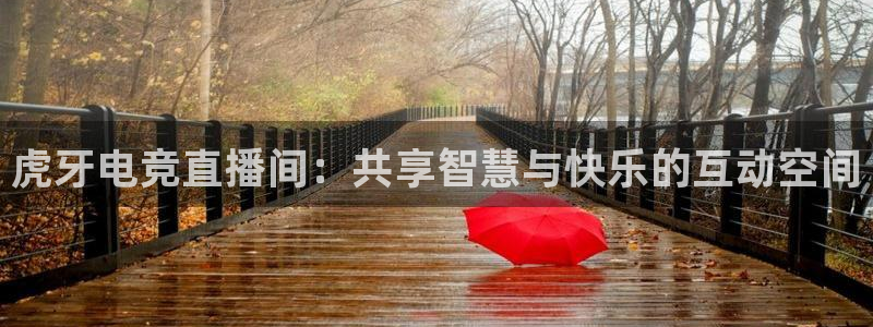 nba直播火凤直播：虎牙电竞直播间：共享智慧与快乐的互动空间