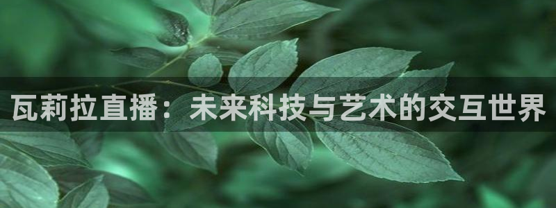 火凤免费观看体育直播：瓦莉拉直播：未来科技与艺术的交互世界