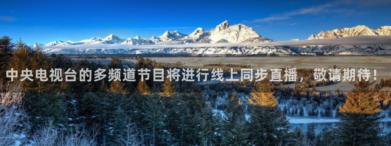 火凤斗球直播体育：中央电视台的多频道节目将进行线上同步直播，敬请期待！