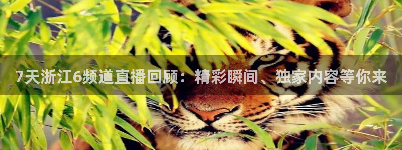 火凤直播体育直播：7天浙江6频道直播回顾：精彩瞬间、独家内容等你来