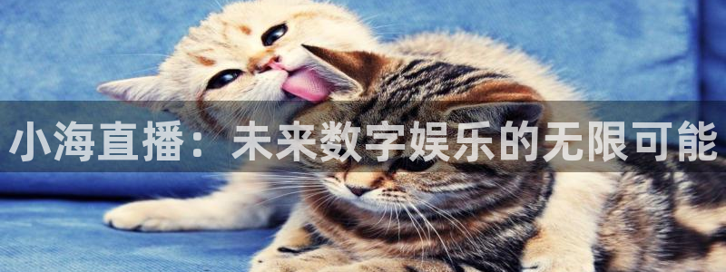 火凤足球直播在线观看：小海直播：未来数字娱乐的无限可能