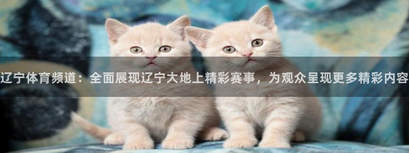 火凤斗球直播体育：辽宁体育频道：全面展现辽宁大地上精彩赛事，为观众呈现更多精彩内容