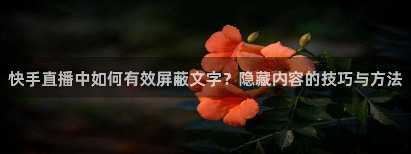 火凤免费观看体育直播：快手直播中如何有效屏蔽文字？隐藏内容的技巧与方法